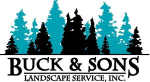 buck & sons